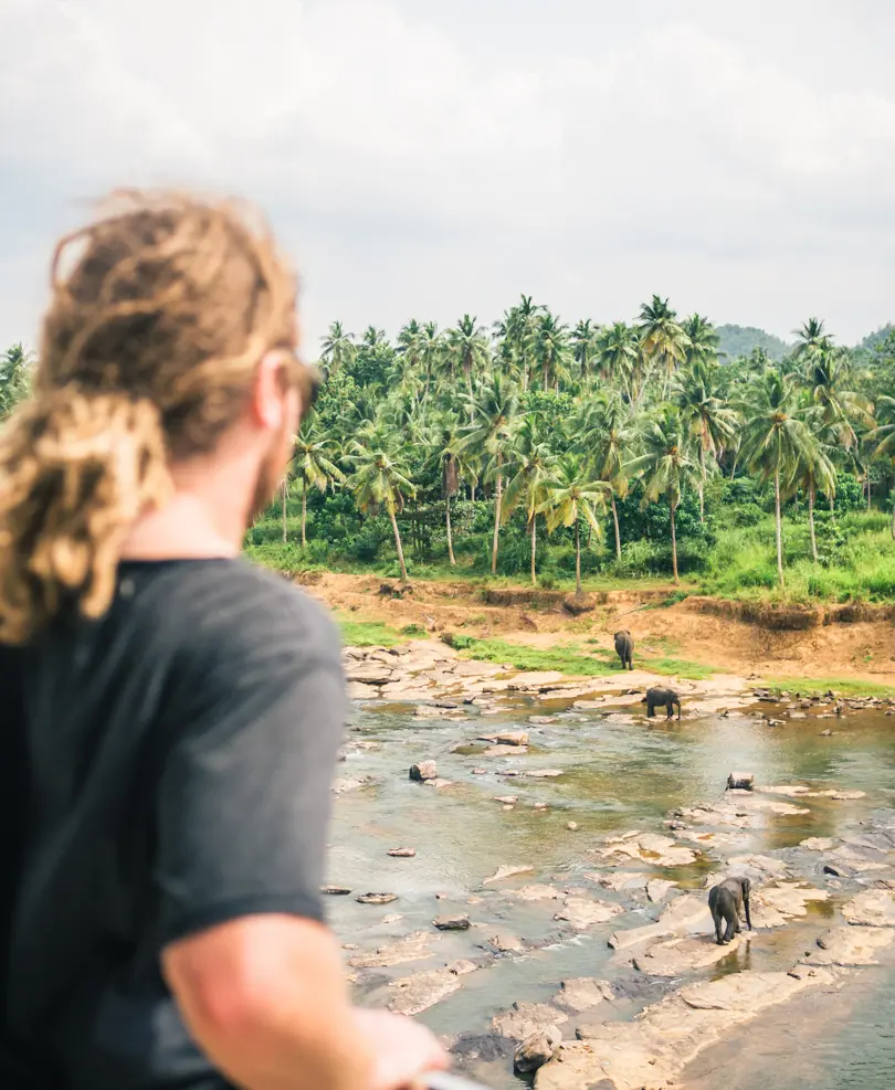 Man with dreads, wearing a black t-shirt, looking out on elephants bathing in a shallow river I Pinnawala, Sri Lanka. Why you should not visit.