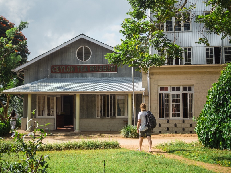 A quick guide to what to do in Kandy - Tea Factory Museum