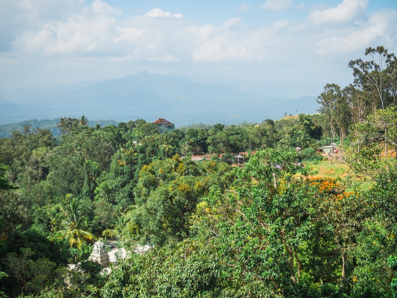 A quick guide to what to do in Kandy - Tea Factory Museum