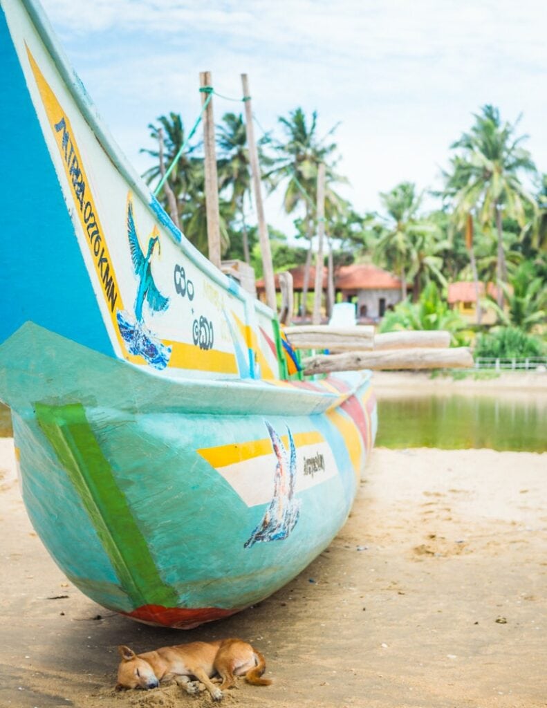Top 11 best things to do in Arugam Bay, Sri Lanka
