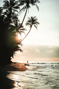 Man walking along palm tree lined Dalawella Beach in Sri Lanka during sunset.