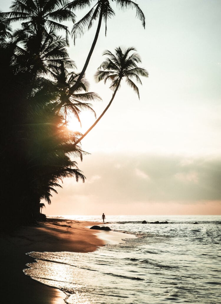 Man walking along palm tree lined Dalawella Beach in Sri Lanka during sunset.