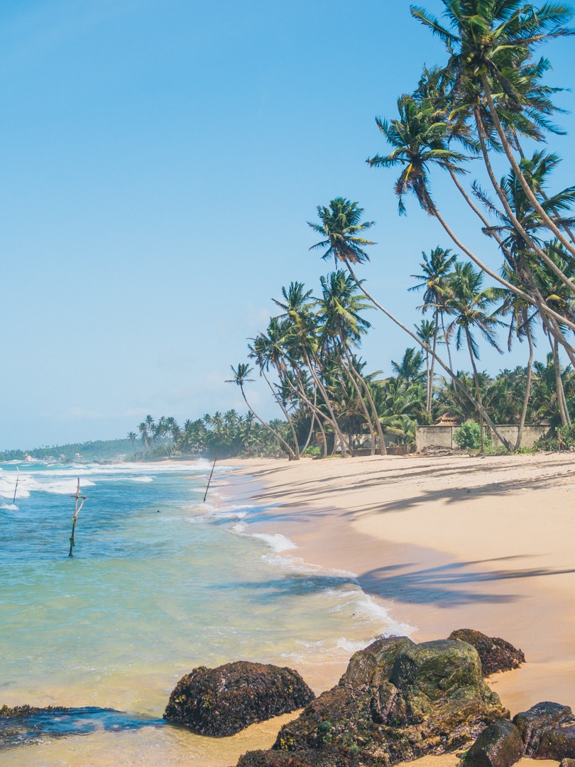 Dalawella beach right next to Unawatuna, Sri Lanka - Palm Tree Swing