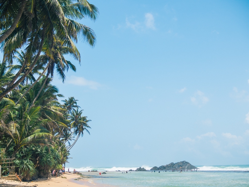 Dalawella beach right next to Unawatuna, Sri Lanka - Palm Tree Swing