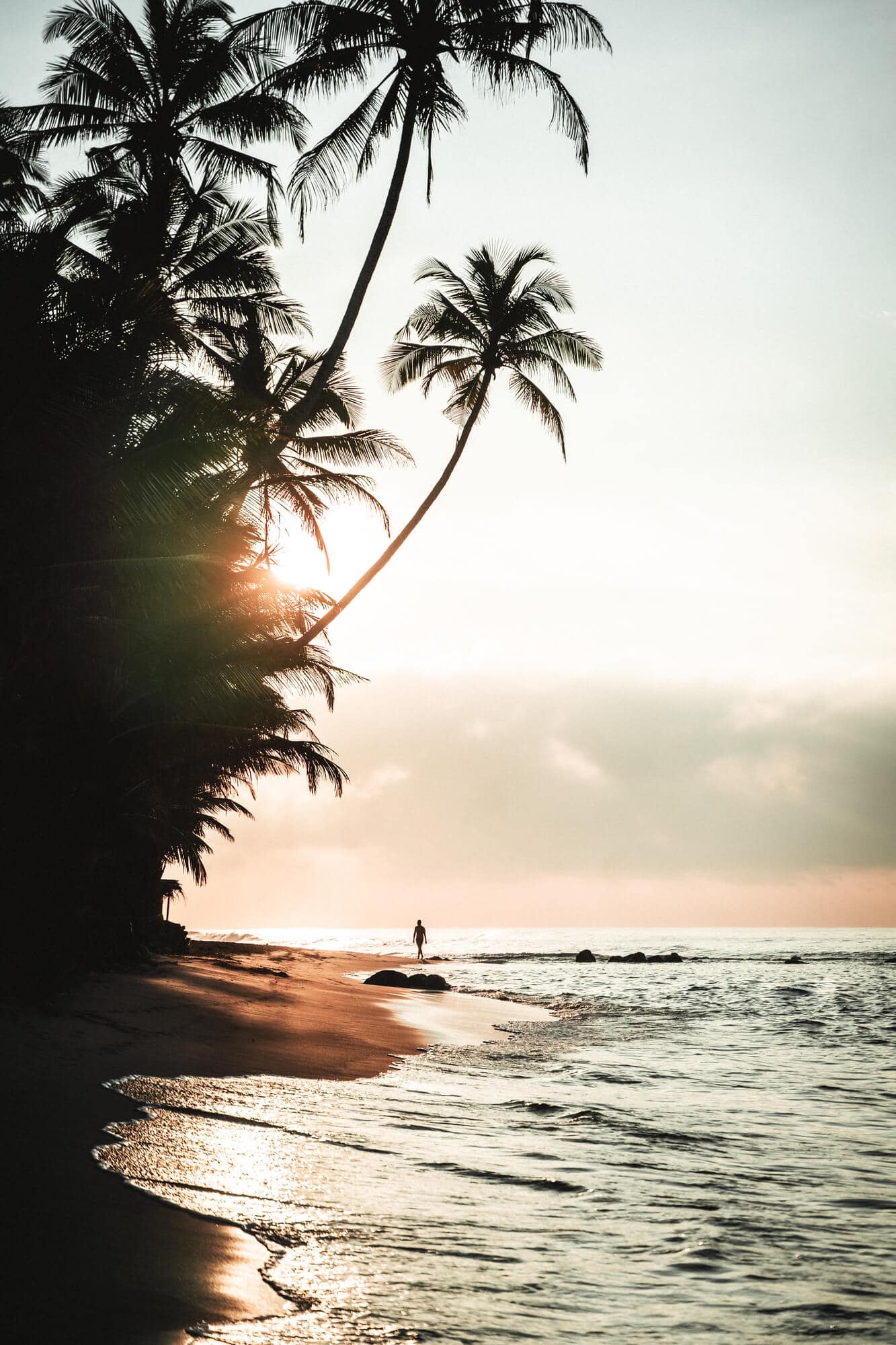 Man walking along palm tree lined Dalawella Beach in Sri Lanka during sunset, a must during your 2 week sin Sri Lanka.