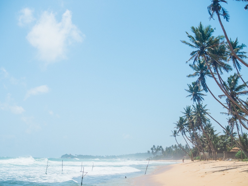 Dalawella beach right next to Unawatuna, Sri Lanka - Palm Tree Swing