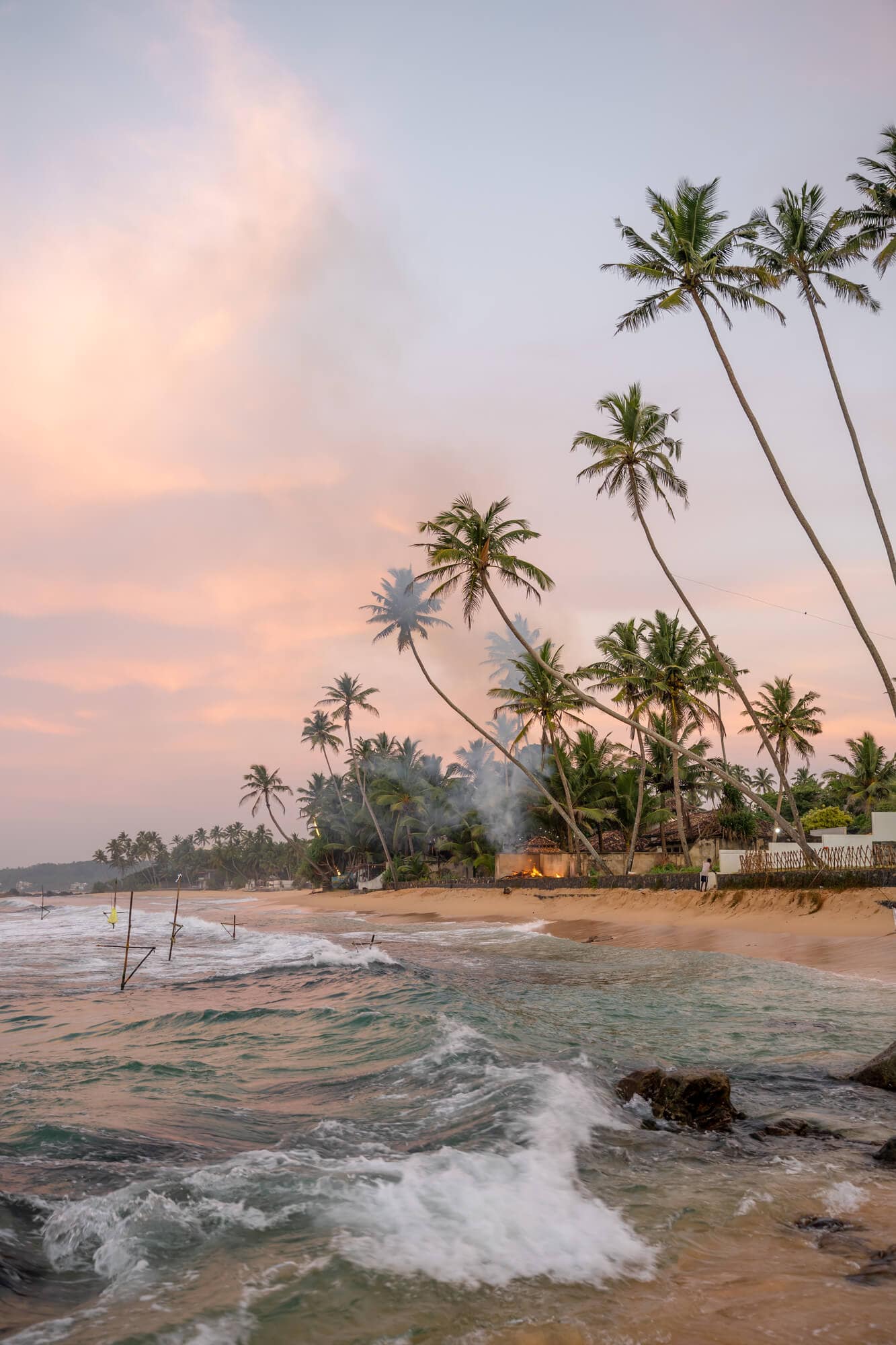 View of palm tree lined Dalawella Beach in Sri Lanka during a soft pink sunset, a most on any two-week Sri Lanka itinerary.