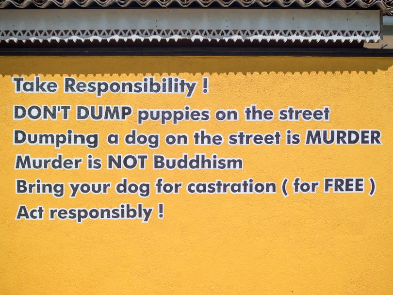 Dog Care Clinic, Mihiripenna / Talpe, Sri Lanka