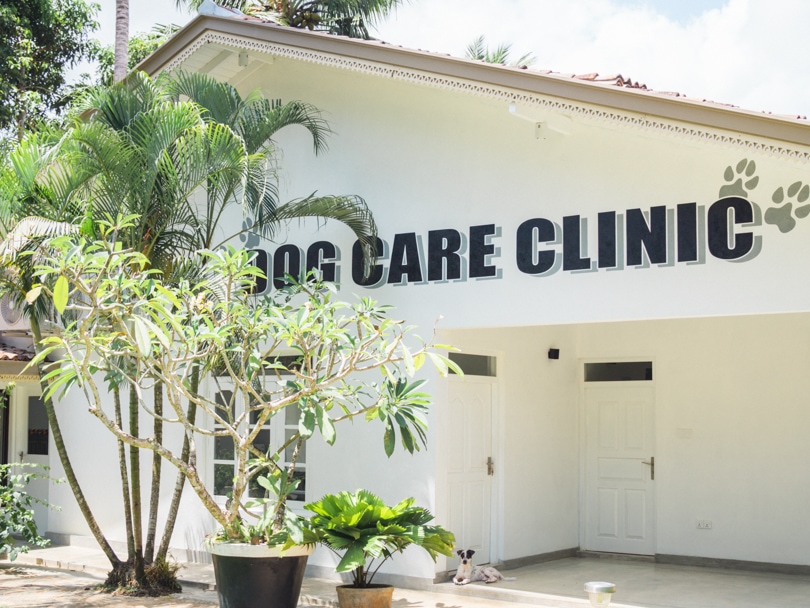 Dog Care Clinic, Mihiripenna / Talpe, Sri Lanka