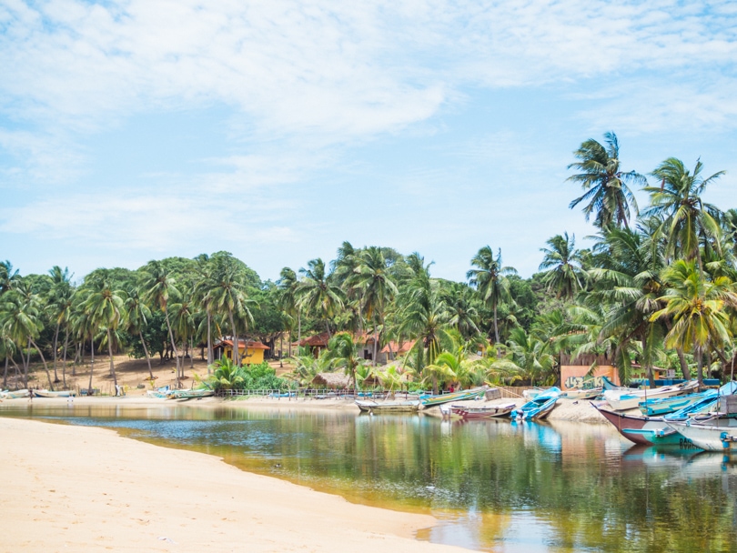 Top 10 best things to do in Arugam Bay, Sri Lanka