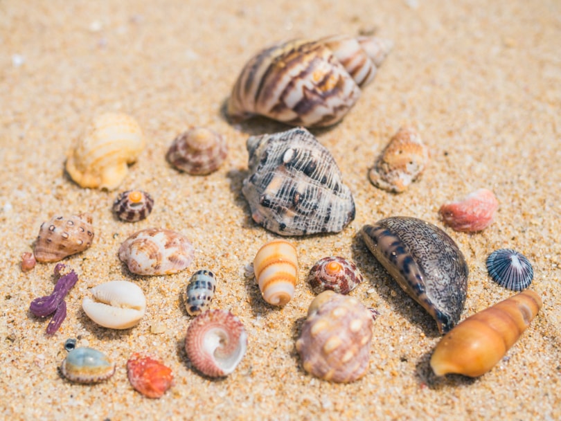 Tangalle beach, Sri Lanka - One of the most beautiful beaches on the island