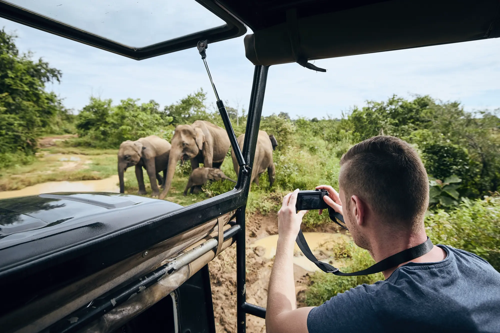 Man photographing four elephants from an open car during a safari in Udawalawe National Park, from Tangalle.