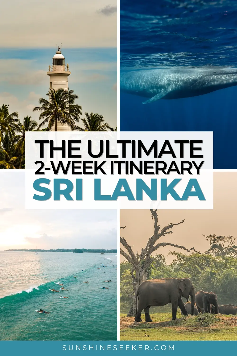 Are you looking for the perfect way to spend your 2 weeks in Sri Lanka? Click through for the ultimate two-weeks Sri Lanka itinerary for first-timers. It includes beaches, surfing, hiking, temples and the beautiful train ride form Kandy to Ella.