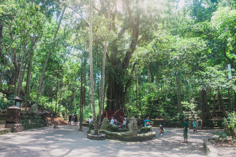 The Sacred Monkey Forest in Ubud, Bali