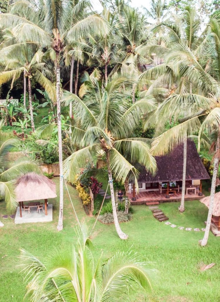 8 unique & affordable Bali Airbnbs - Green House in Ubud