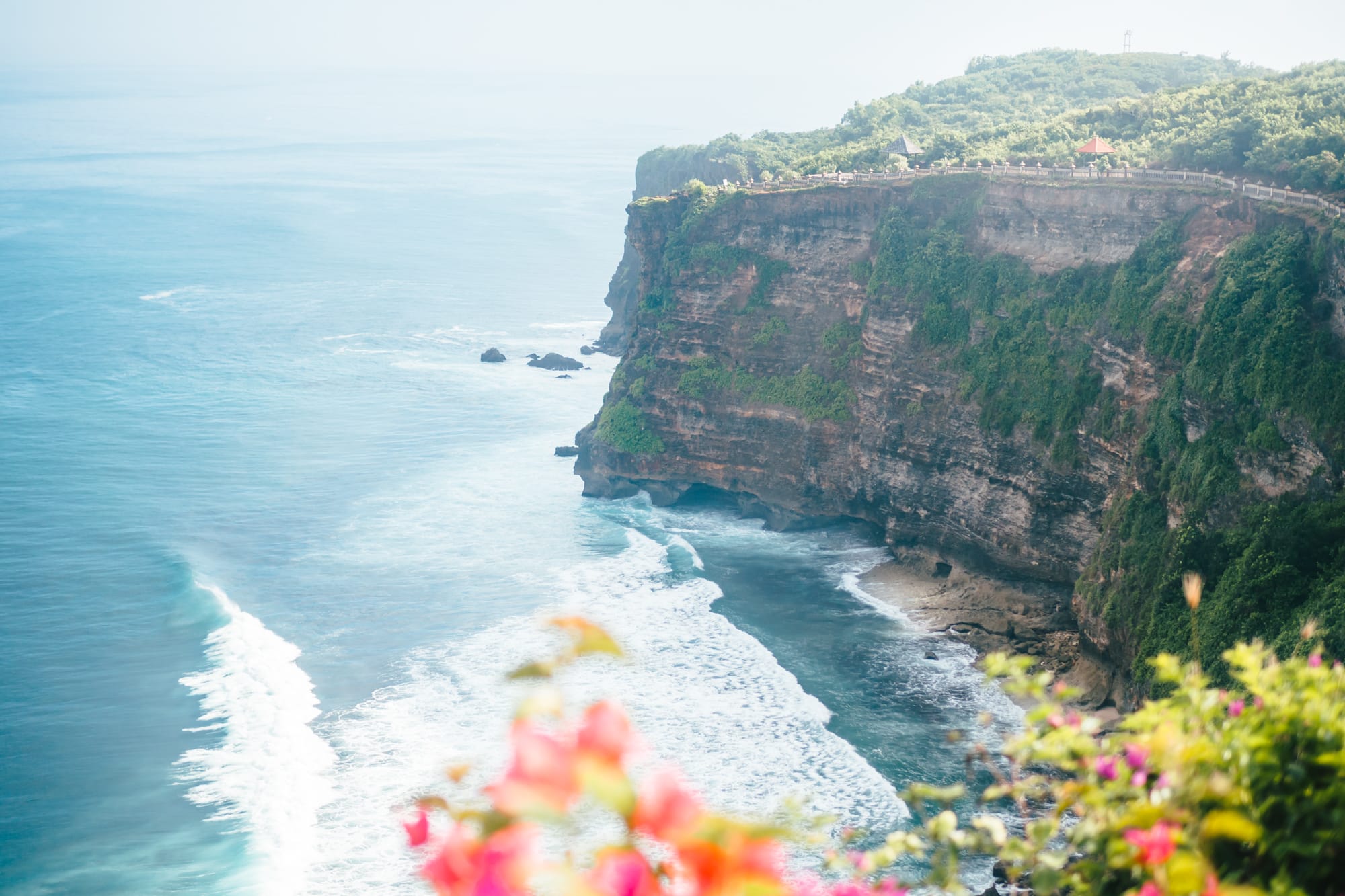 Beautiful view across the Uluwatu cliffs, framed by pink and red flowers along the bottom, from the Uluwatu Monkey Temple in Bali. One of the best places to see monkeys in Bali.