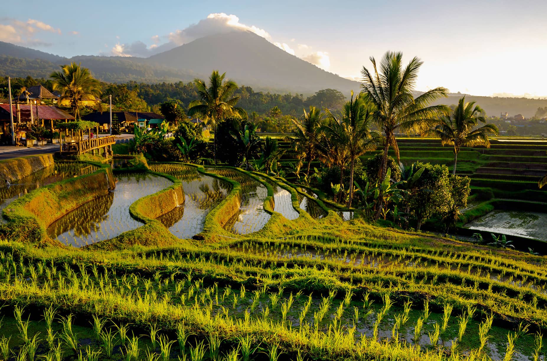 Sunset over Jatiluwih Rice Terraces, som newly planted rice and some rice terraces standing in water with a mountain in the background, one of the top things to do in Bali.