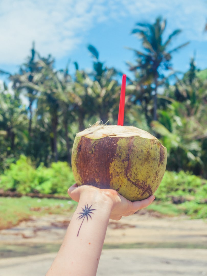 Hand with a palm tree tattoo from Bali holding a coconut with a red straw in front of palm trees in Crystal Bay, one of the many reasons to visit Nusa Penida.