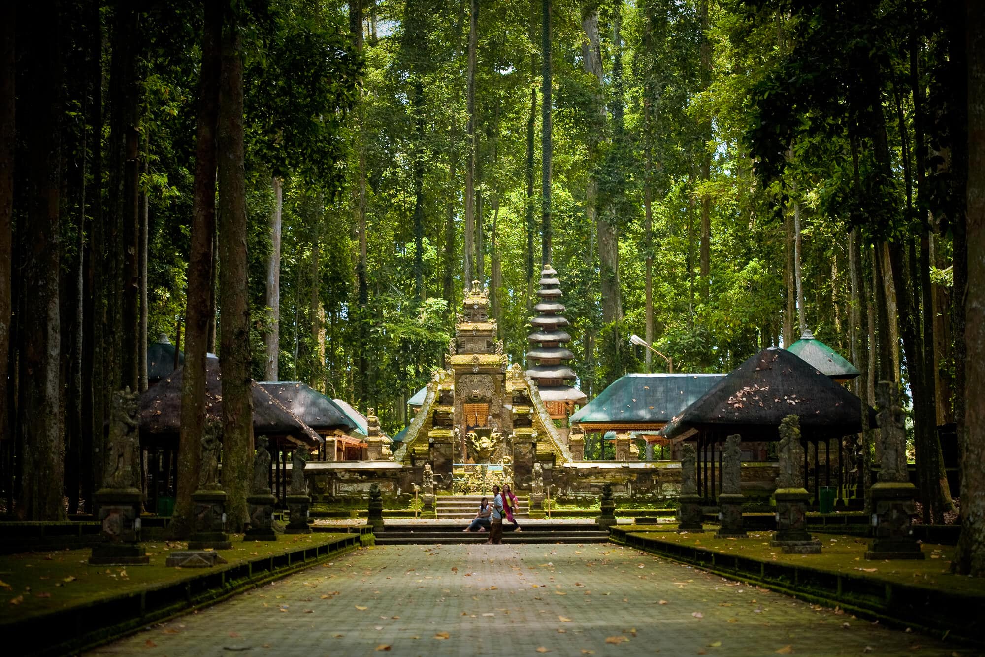 Sangeh Monkey Forest - One of the best places to see monkeys in Bali