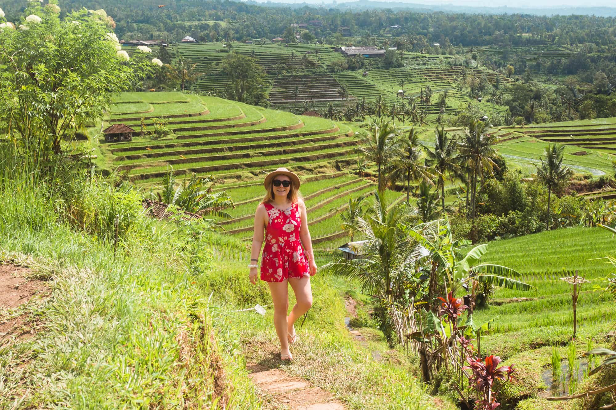 Trekking Jatiluwih Rice Terraces in Bali