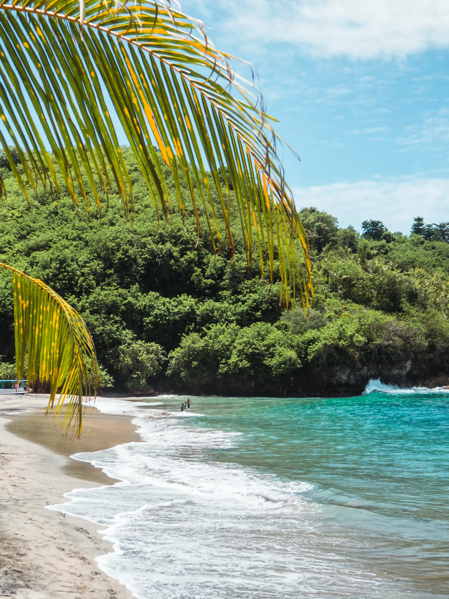 Palm tree leaf over the light sand and turquoise water at Crystal Bay, one of the main reasons to visit Nusa Penida.