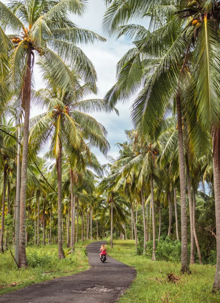 Girl in a red dress driving a scooter on an empty road beneath tall palm trees in Nusa Penida, is it worth visiting?