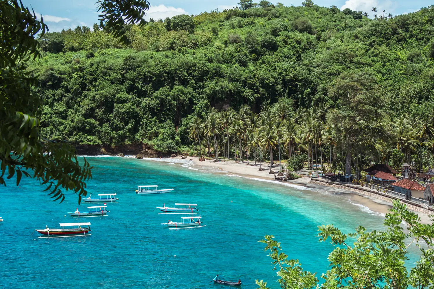 View of the turquoise ocean and palm trees of Crystal Bay, one of the many reasons to visit Nusa Penida. I Nusa Penida worth visiting? Yes.