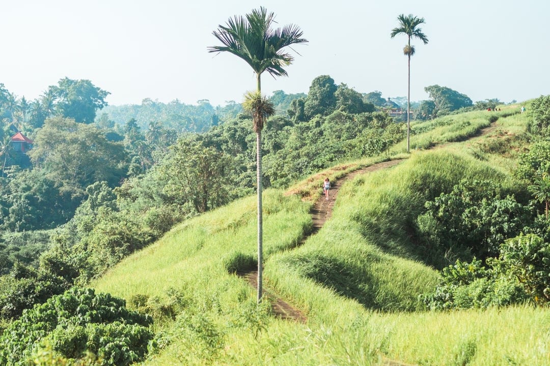 UBUD YOGA CENTRE - All You Need to Know BEFORE You Go (with Photos)