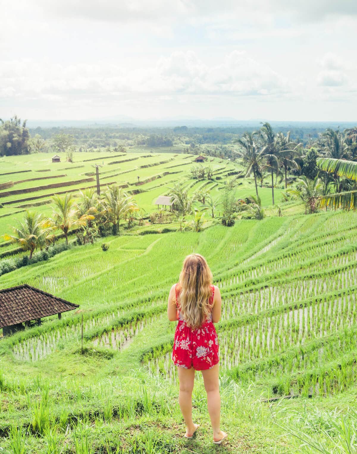 Woman wearing a red jumsuit looking out over the vibrant green Jatiluwih Rice Terraces, this is the best time to visit.