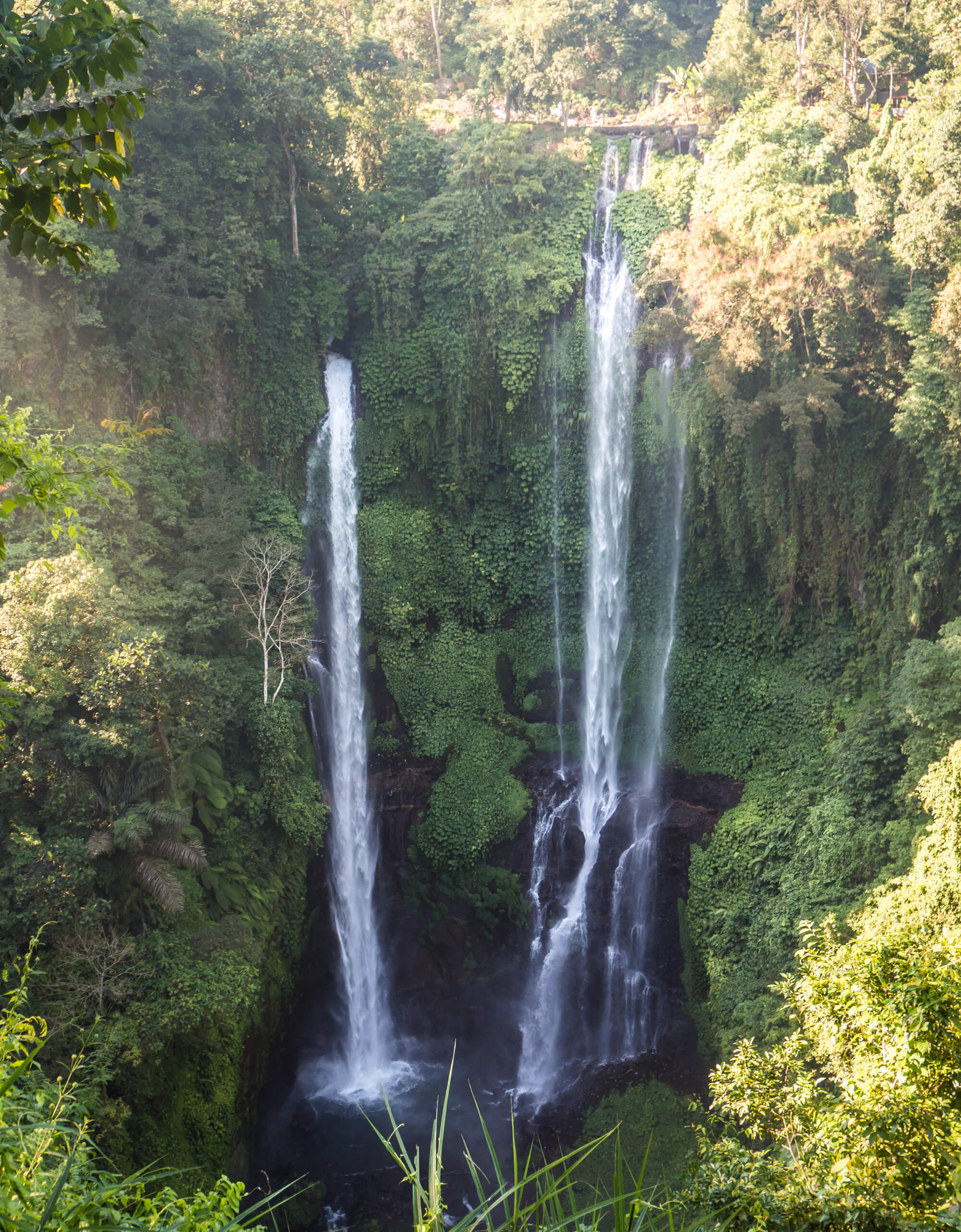 Air Terjun Sekumpul - The most beautiful waterfall in Bali. Book a tour guide or drive there by yourself - Here's how!