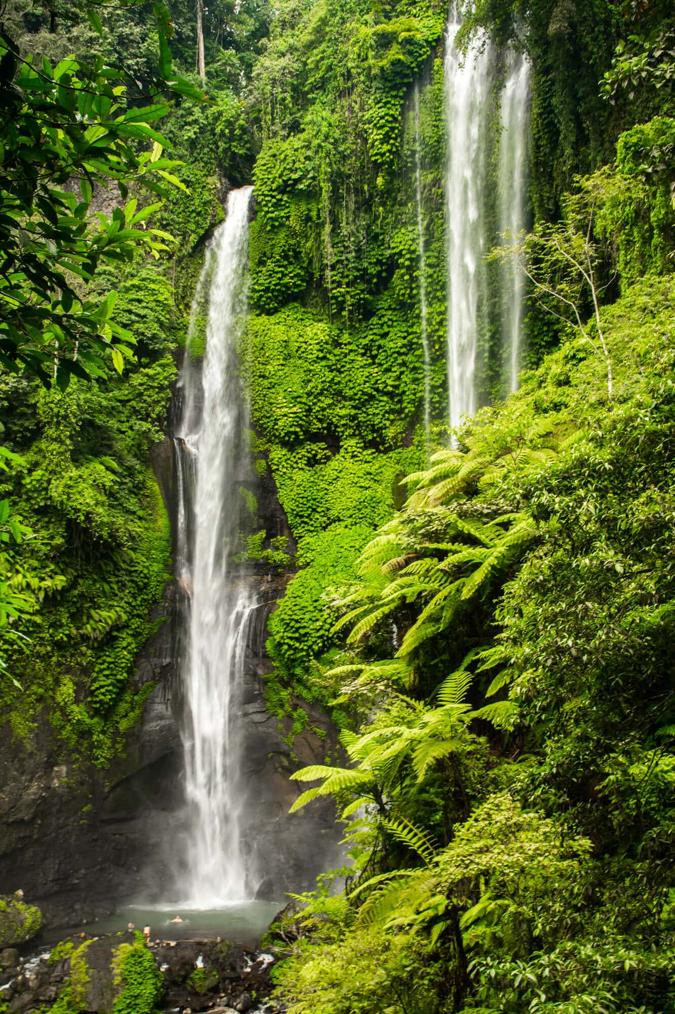 Sekumpul Waterfall in Bali, a first timer's guide