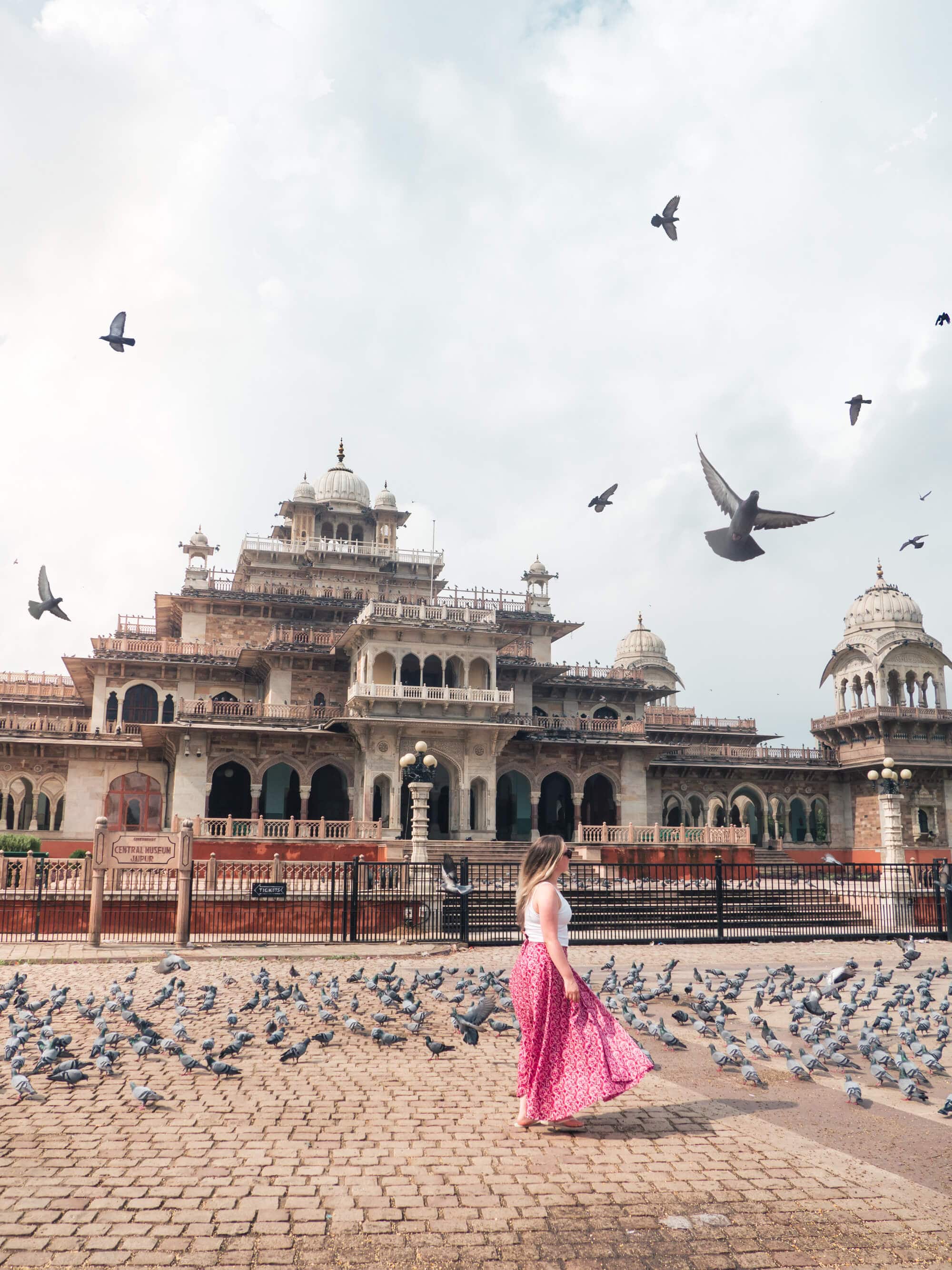 How to spend 2 days in Jaipur - A sea of pigeons in front of Albert Hall Museum