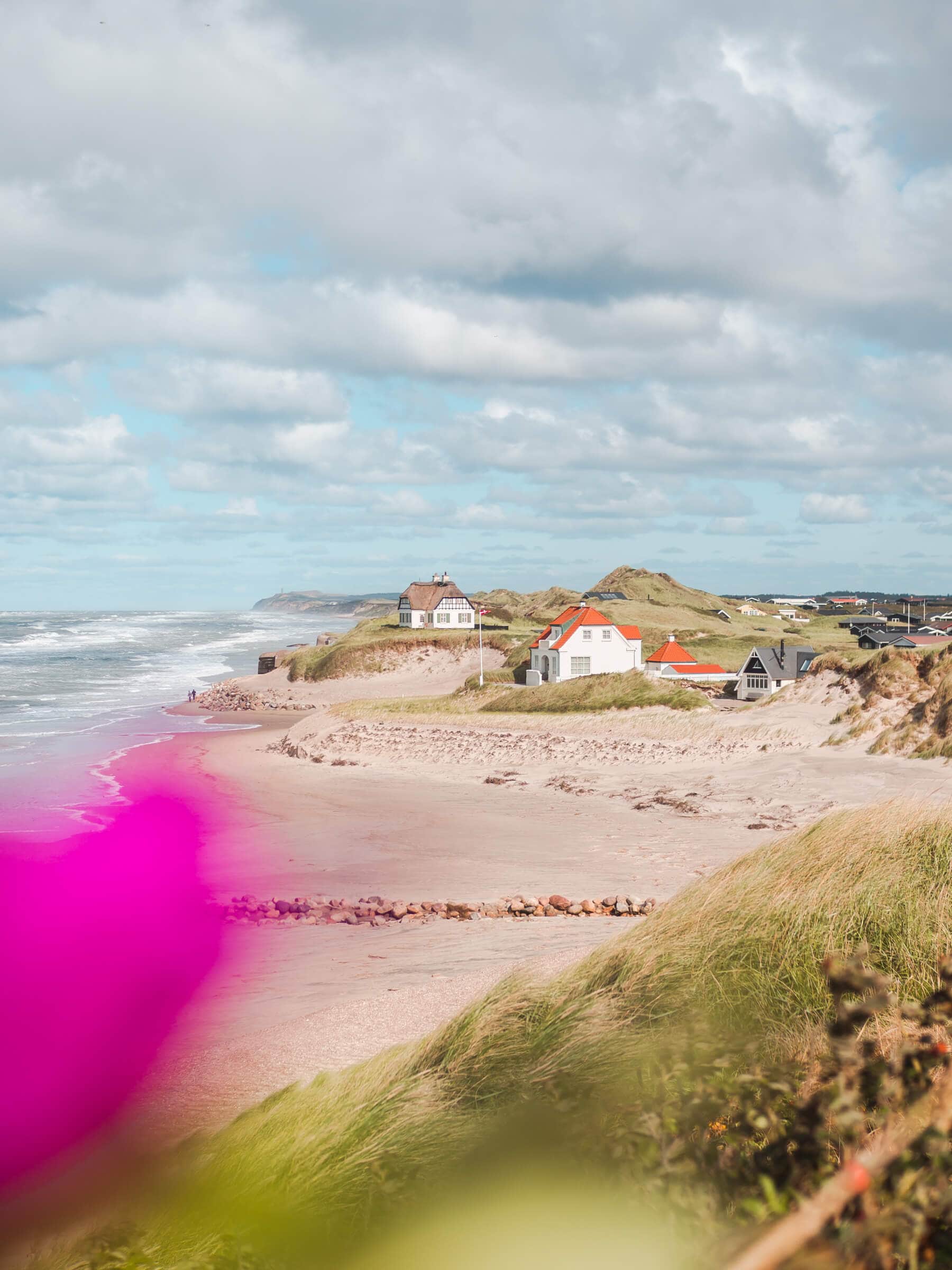 Two white traditional Danish houses on the edge of a long beach in Løkken, with green grass and pink flowers in the foreground, on a day trip from Aarhus, Denmark.