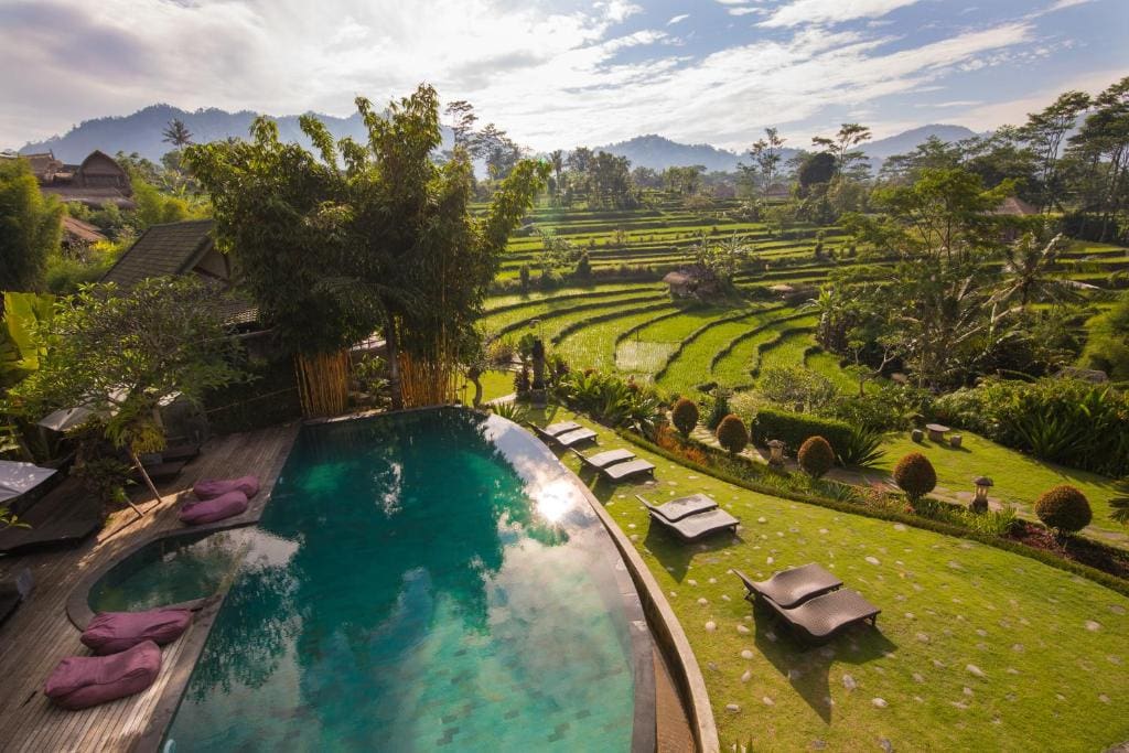 Green rounded pool with a wooden deck on the left overlooking green rice fields at Sarah Indah Villa, one of the best budget hotels in Sidemen Bali.