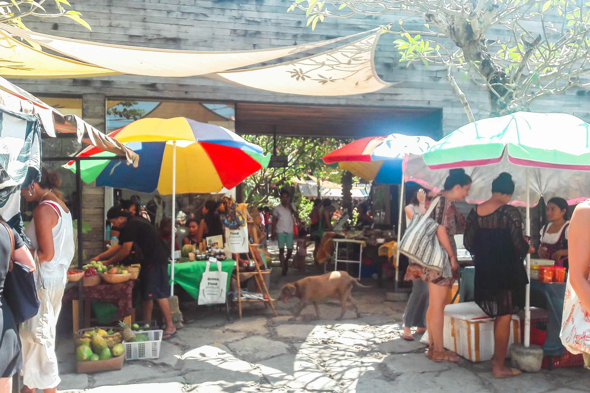 Samadi Farmer's Market in Canggu