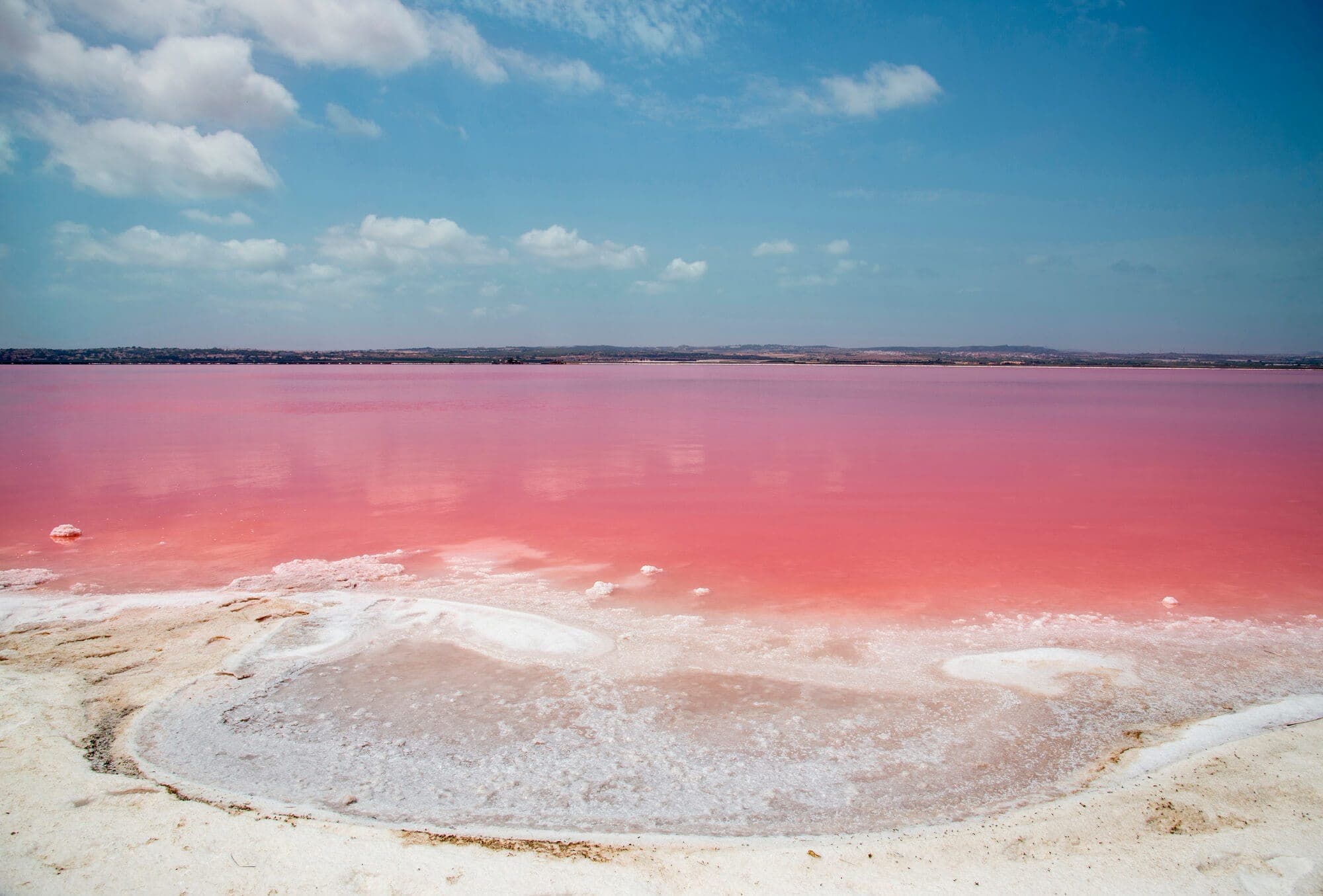 Did you know there's a pink lake in Spain? Discover Laguna Salada de Torrevieja