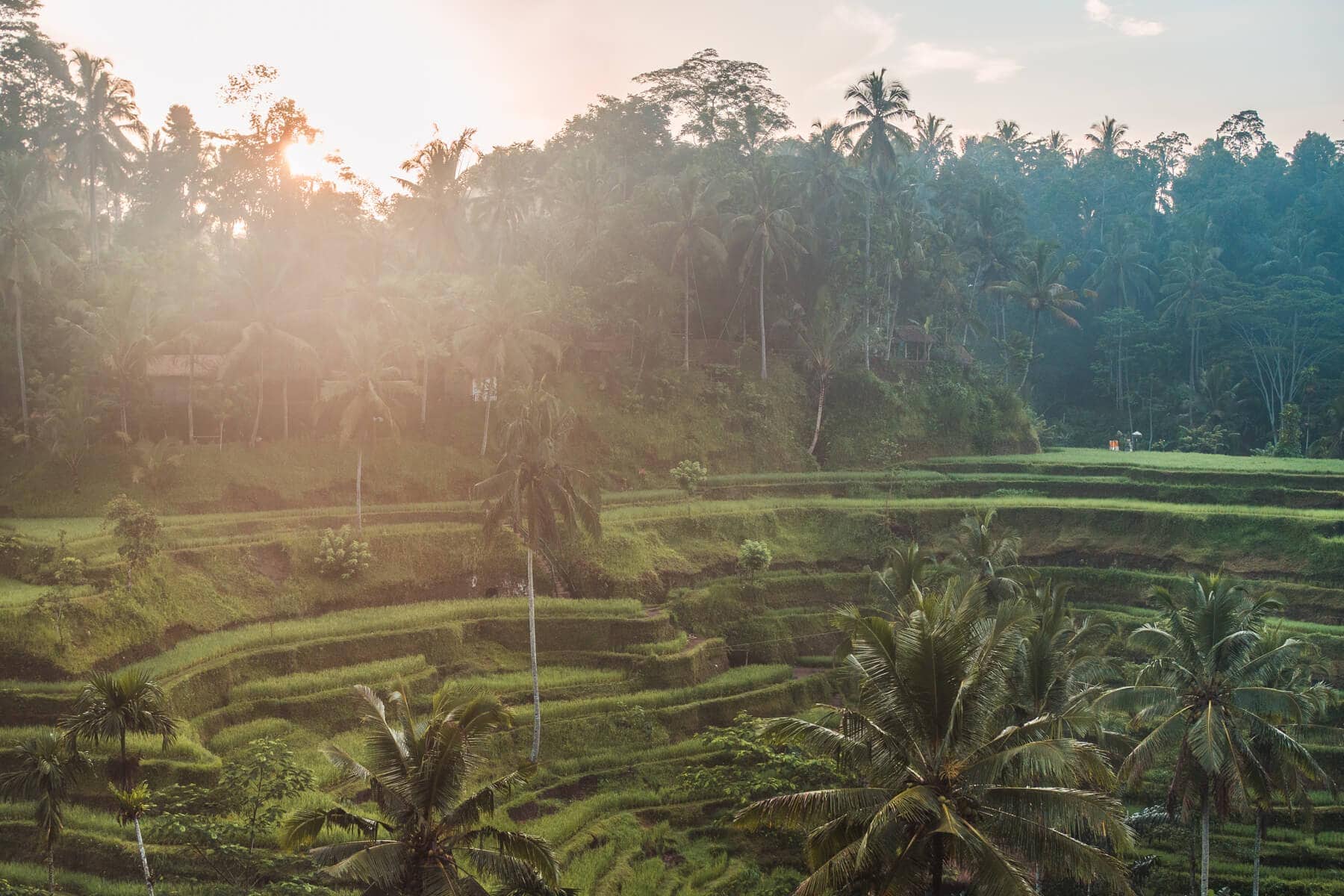 Bali Instagram captions - Early morning in Tegalalang Rice Terrace in Ubud