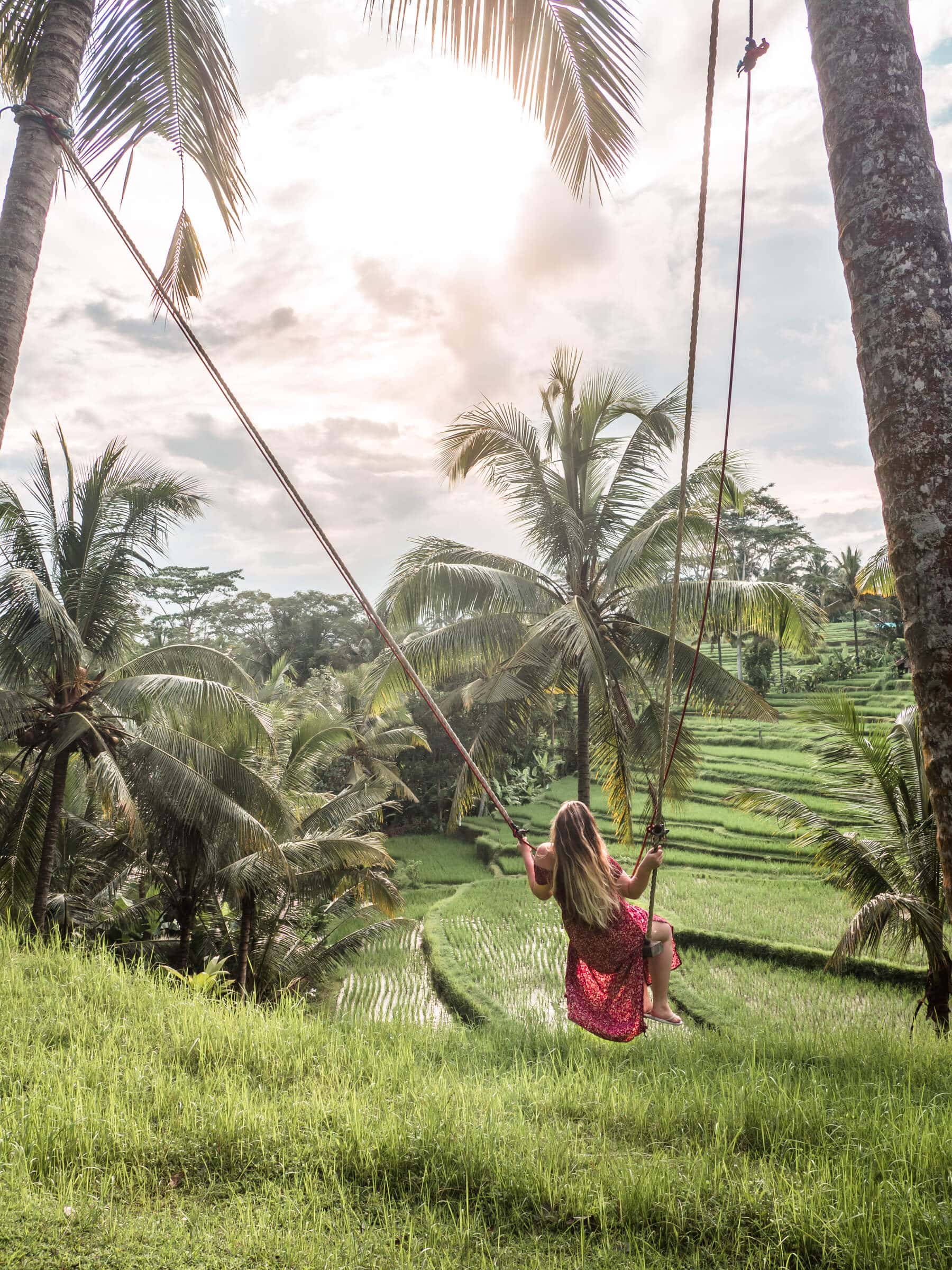 Island Life #4 - Swing in our garden overlooking the rice fields in Ubud
