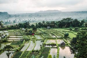 Kubu Carik Bungalows in Karangasem, East Bali. Discover why this incredible hotel should be on your Bali bucket list