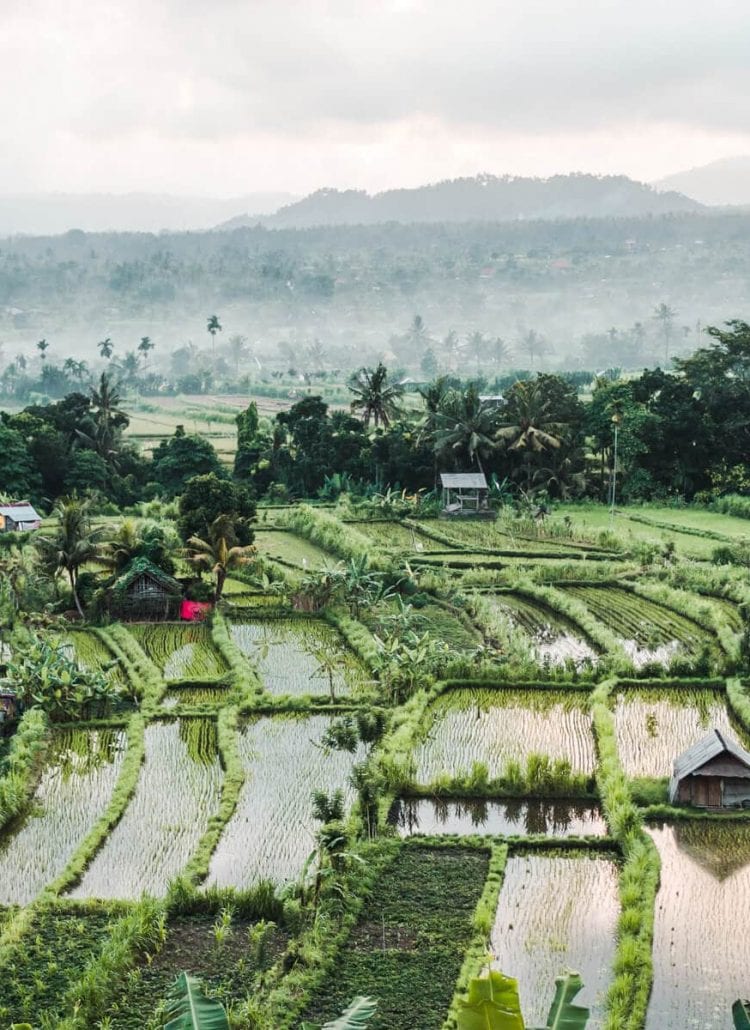 Kubu Carik Bungalows in Karangasem, East Bali. Discover why this incredible hotel should be on your Bali bucket list