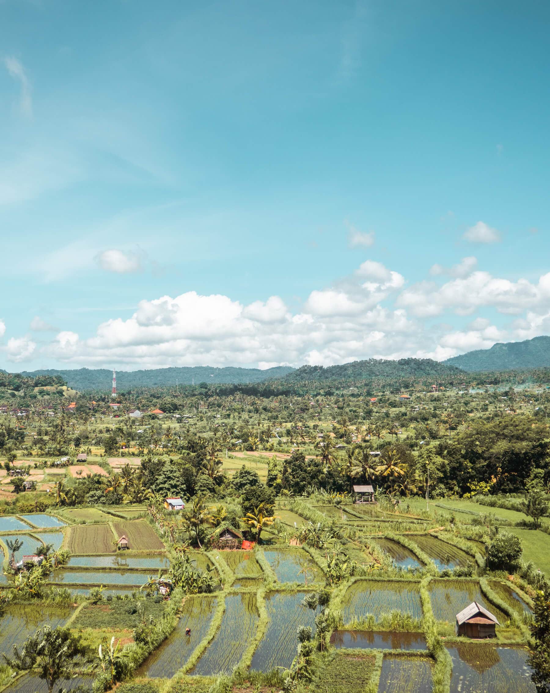 View of green rice fields with mountains in the background and a blue sky from our hotel in beautiful East Bali.