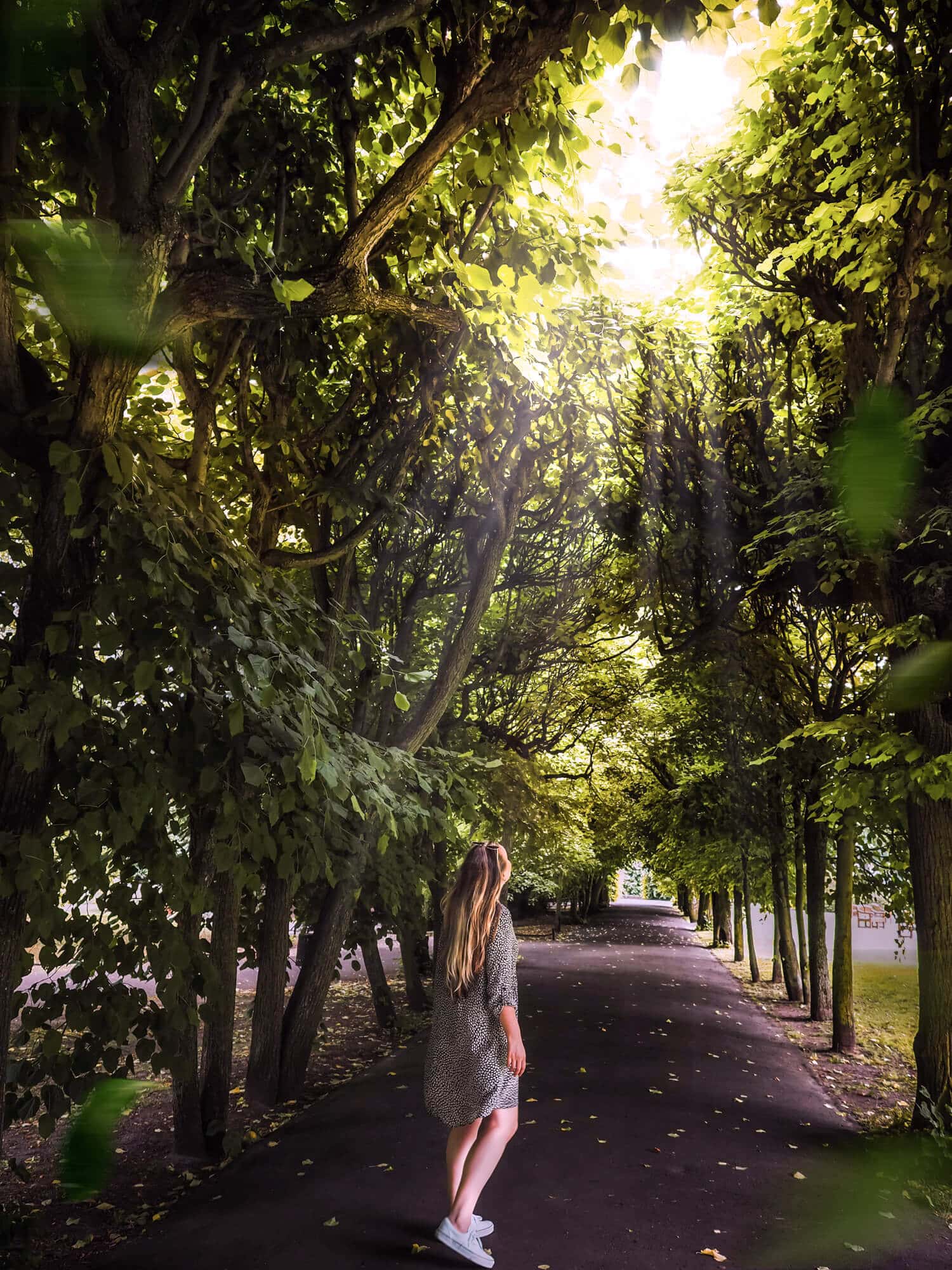 Girl with long hair, wearing a black and white dress and white shoes, walking away in a avenue of treesn with se sun shining through in Oliwa Park, a must during your 2 day Gdansk itinerary.