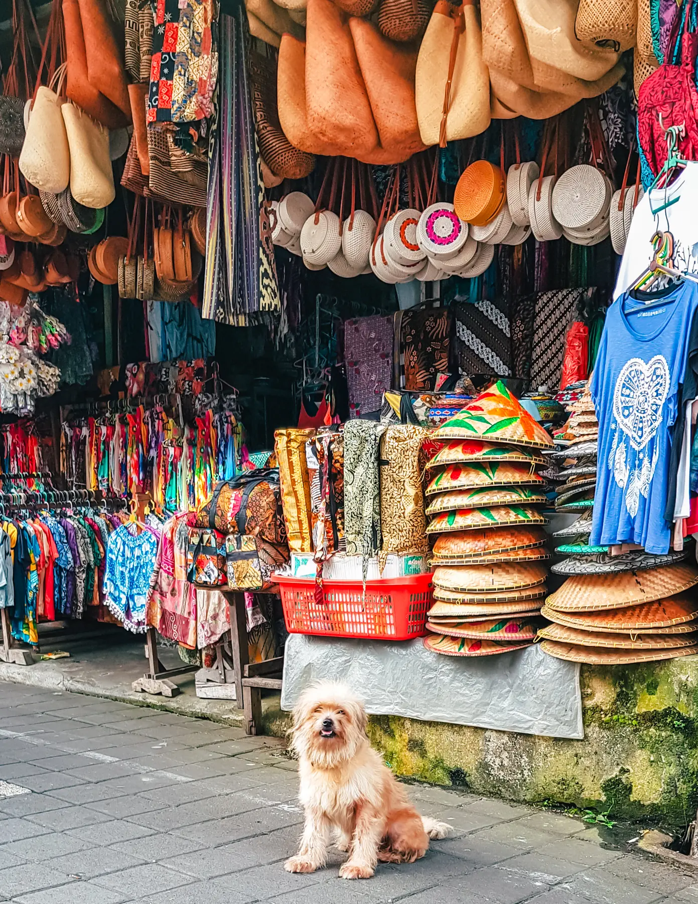 Cute fluffy dog sitting in front of a stall at Ubud Art Market, the most popular market in Bali.