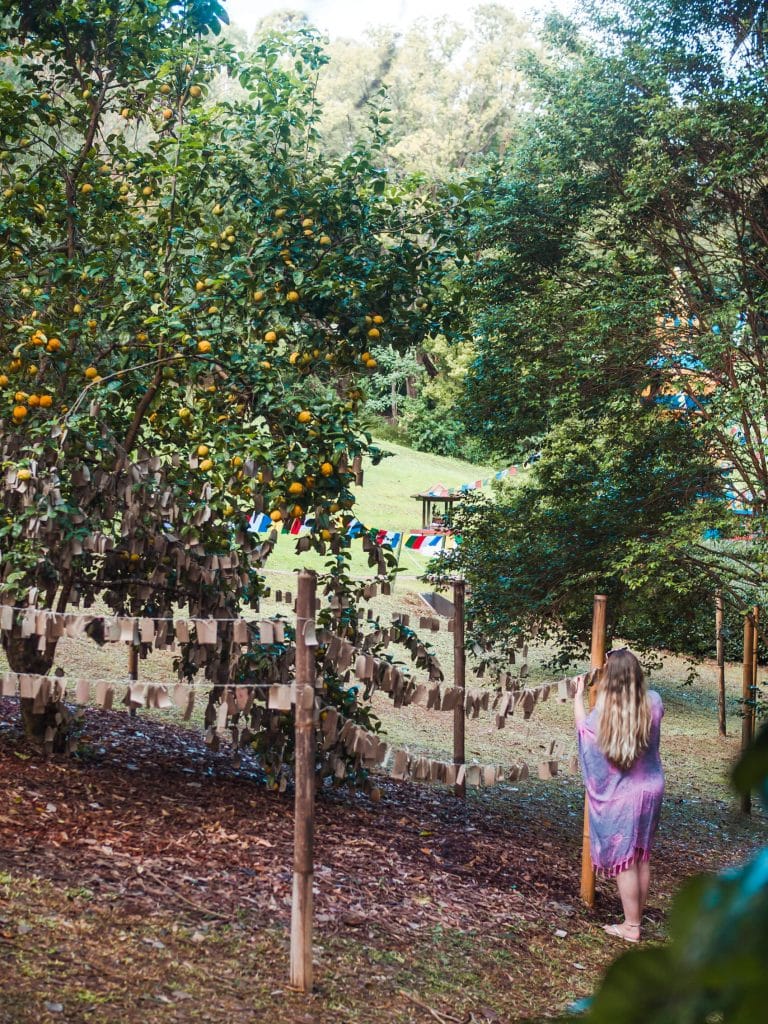 Hanging my wish on the wishing tree at the Crystal Castle outside Byron Bay