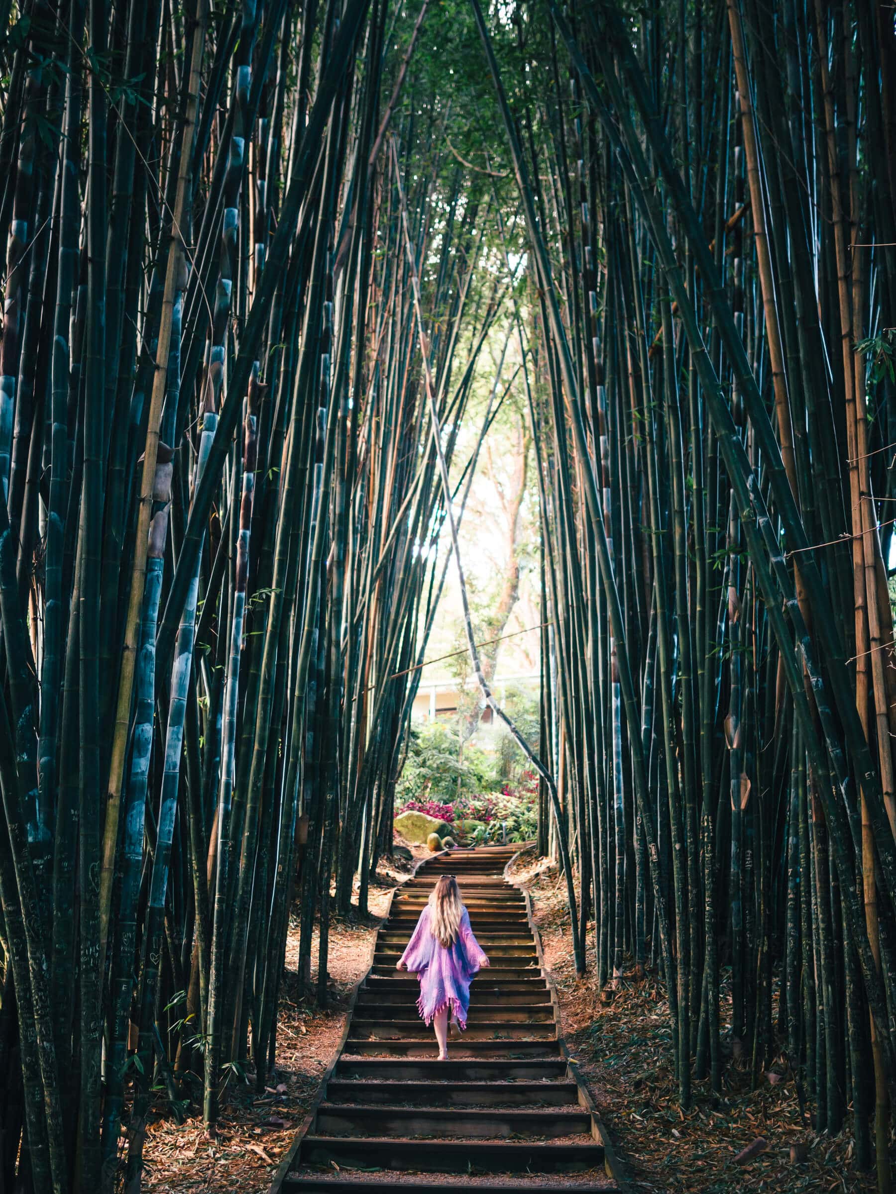 The incredibly stunning Crystal Castle & shambhala Gardens located in the Byron Bay hinterlands - The enchanted bamboo alley