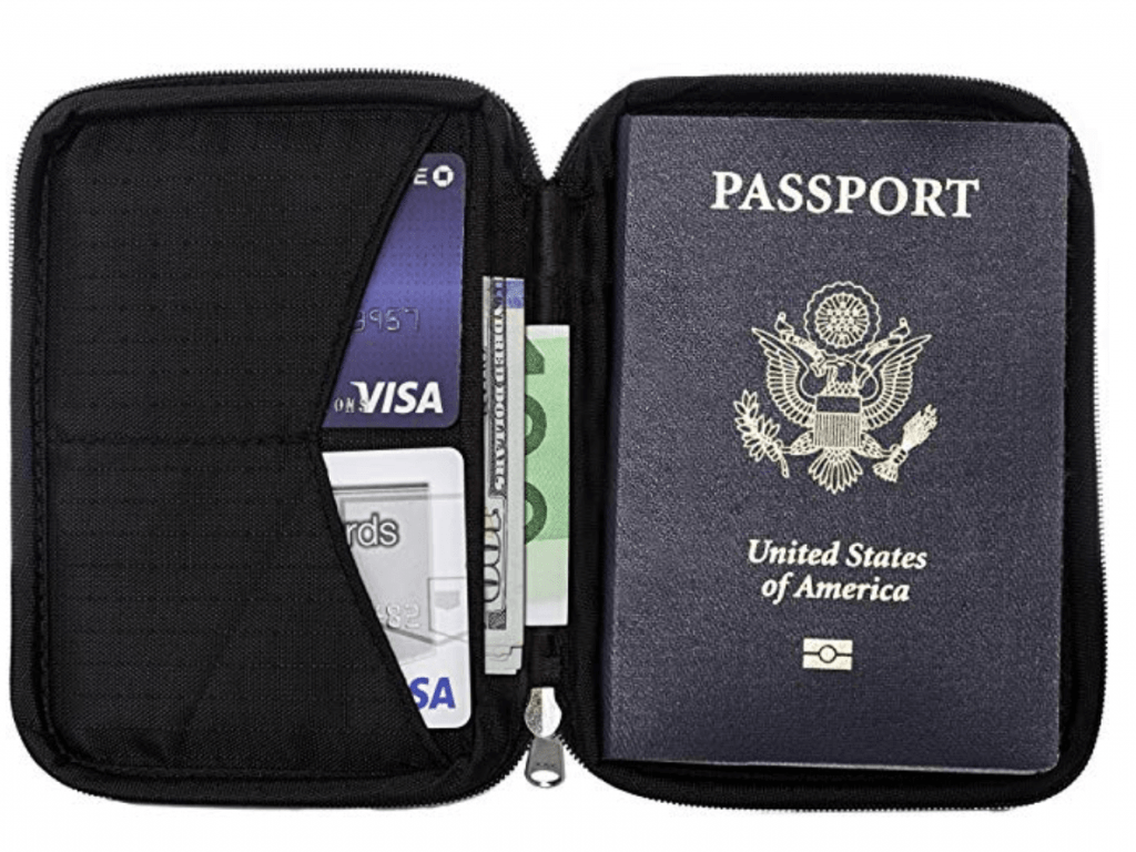 Anti-theft passport holder / travel document organizer - Best useful travel gift idea under $50