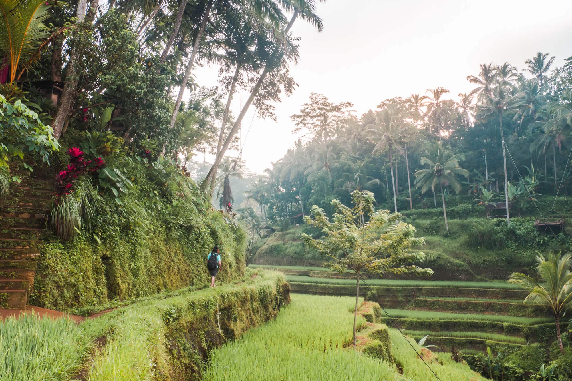 Tegalalang Rice Terrace Ubud swing and sunrise photo location