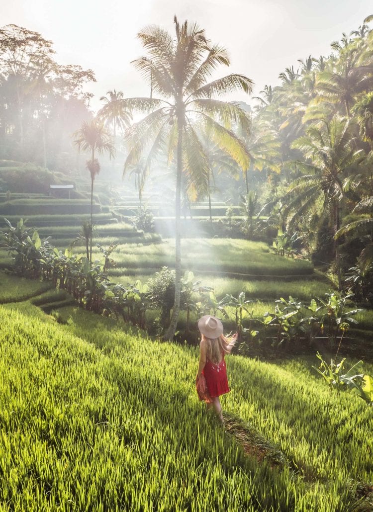 The Instafamous sunrise photography location in Tegalalang Rice Terrace, Ubud