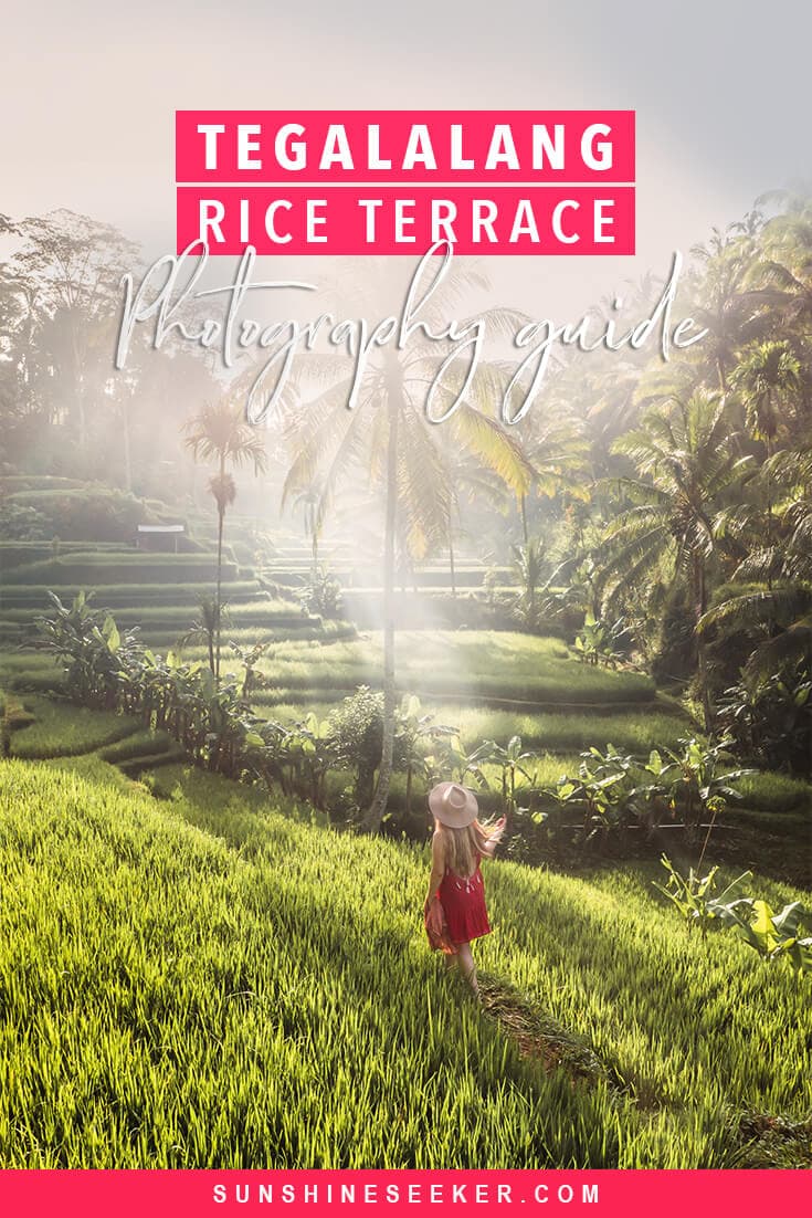 Tegalalang Rice Terrace photography guide. Everything you need to know before you go. Where to find the Instafamous sunrise photo location in Ubud, Bali #tegalalang #ubud #bali #bucketlist #travelinspo