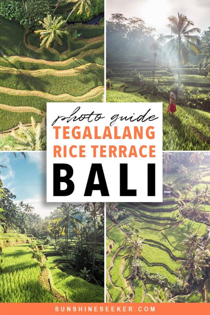 Tegalalang Rice Terrace photography guide. Everything you need to know before you go. Where to find the Instafamous sunrise photo location in Ubud, Bali #tegalalang #ubud #bali #bucketlist #travelinspo